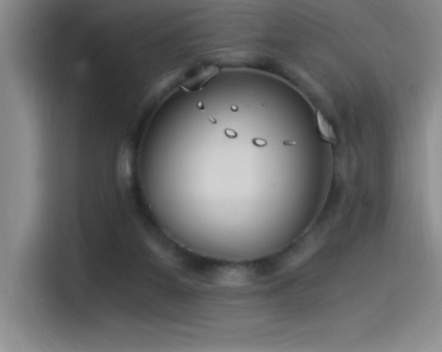 X0000115240115200911061155