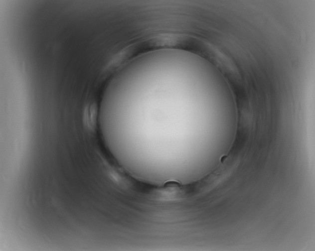 X0000115240118200911061155