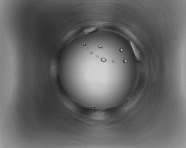 X0000115240119200911061155