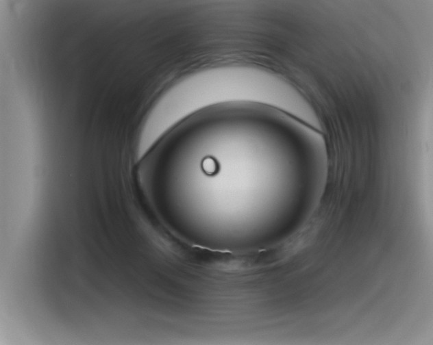 X0000115240120200911061155