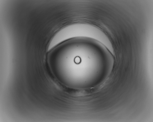 X0000115240124200911061155