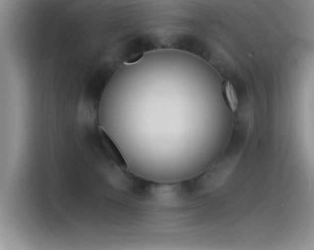 X0000115240129200911061155