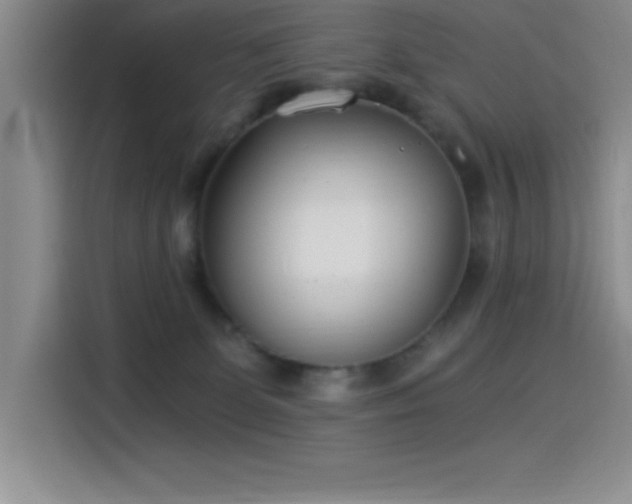 X0000115240131200911061155