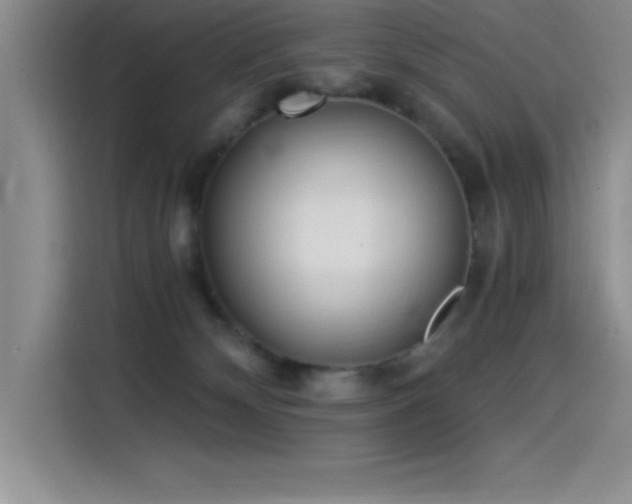 X0000115240132200911061155