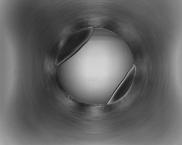 X0000115240136200911061155