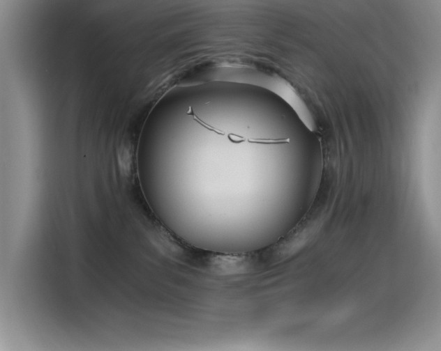 X0000115240139200911061155