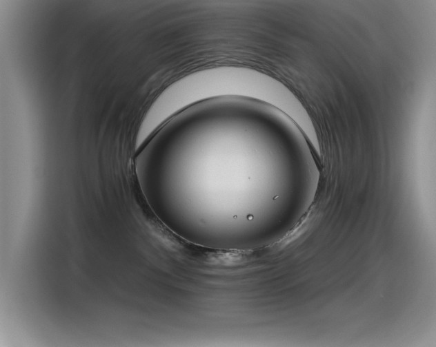 X0000115240140200911061155