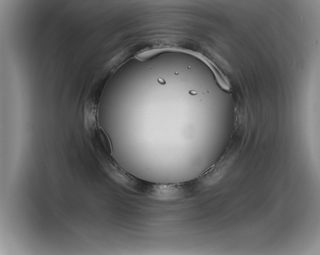 X0000115240141200911061155