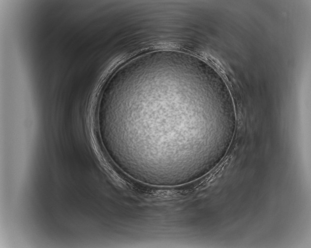 X0000115240145200911061154