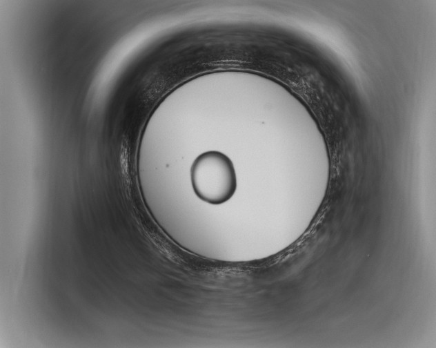 X0000115240146200911061154