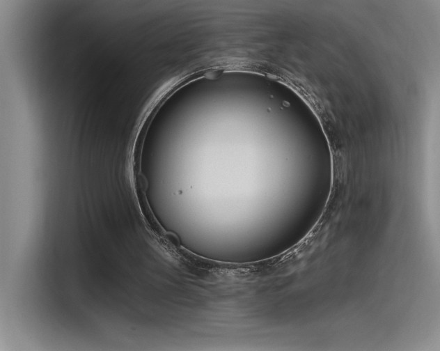 X0000115240147200911061154