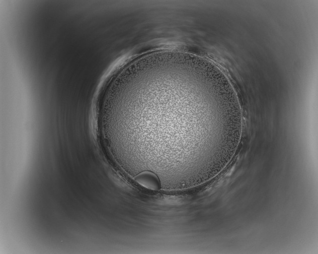 X0000115240149200911061154