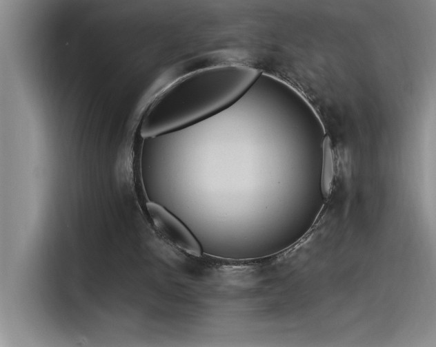 X0000115240150200911061154