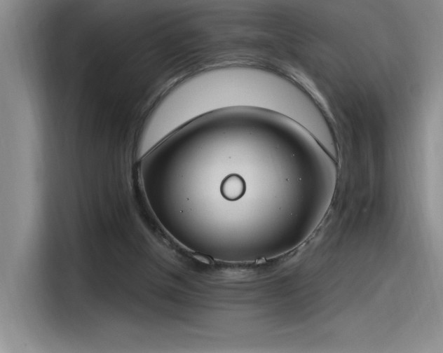 X0000115240154200911061154