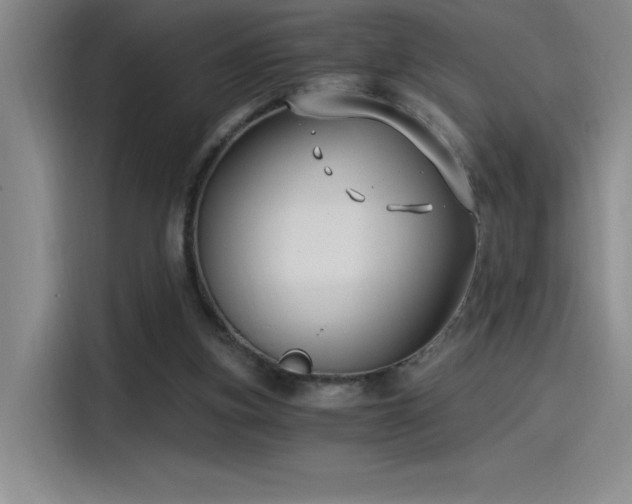 X0000115240155200911061154