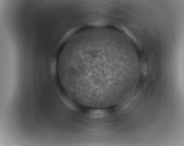 X0000115240163200911061155