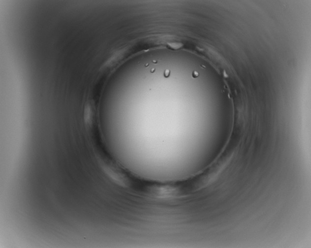 X0000115240165200911061155