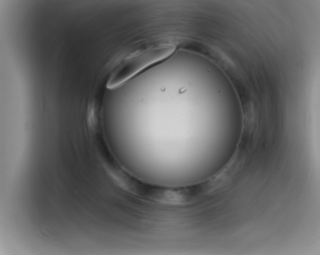 X0000115240166200911061155