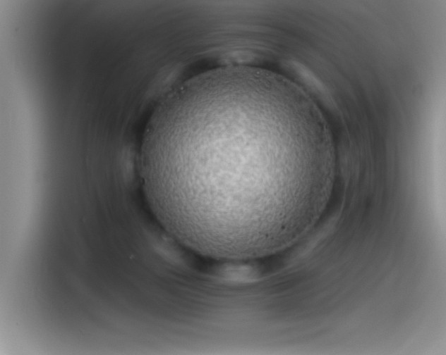 X0000115240169200911061155