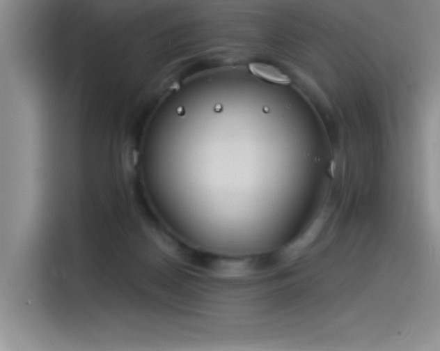 X0000115240170200911061155