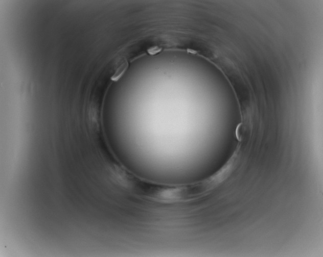 X0000115240178200911061155