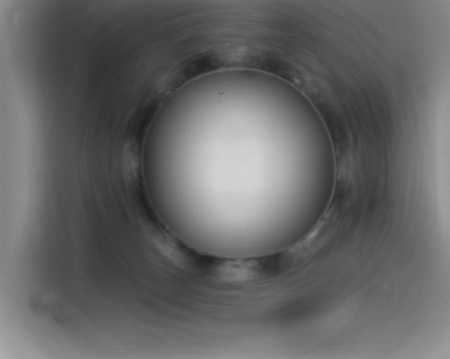 X0000115240179200911061155
