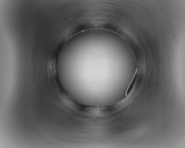 X0000115240182200911061155