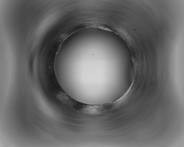 X0000115240190200911061155