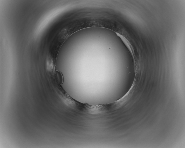 X0000115240191200911061155