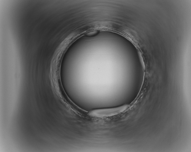 X0000115240193200911061154