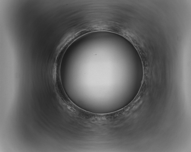X0000115240194200911061154