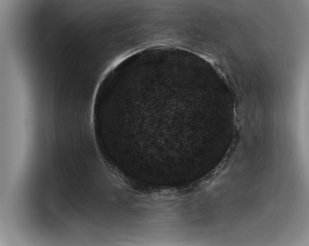 X0000115240196200911061154