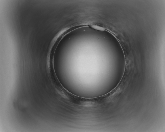 X0000115240200200911061154