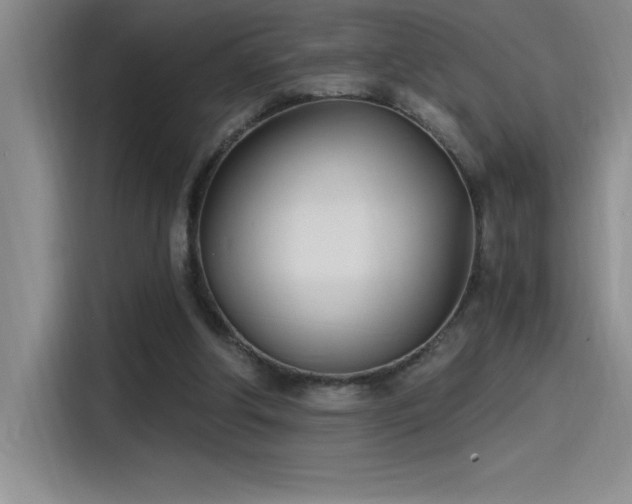 X0000115240202200911061154