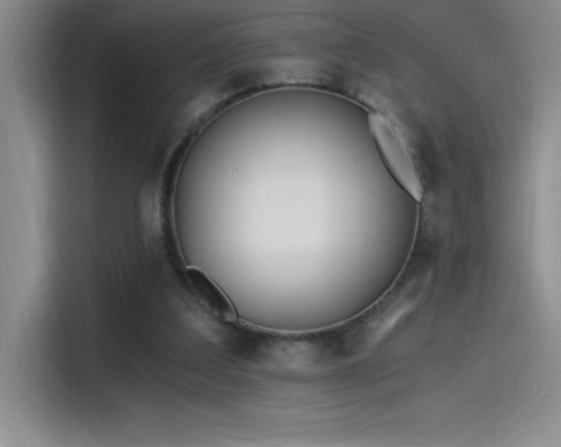 X0000115240203200911061154