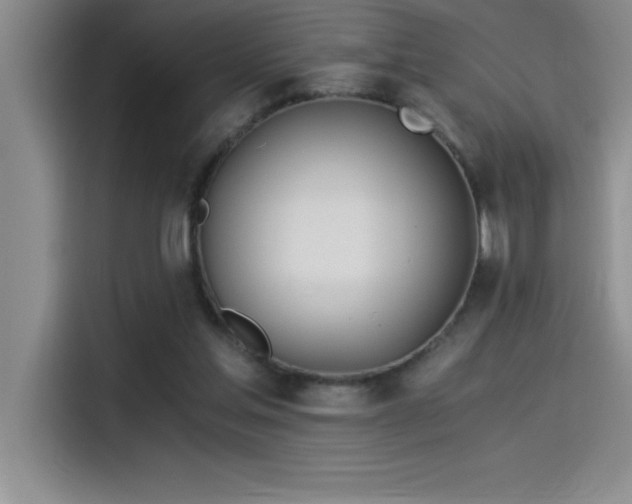 X0000115240205200911061154