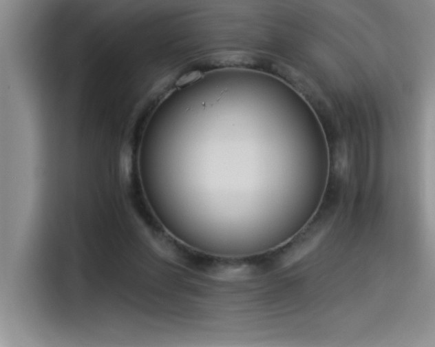 X0000115240206200911061154