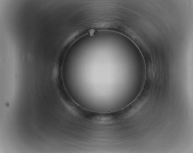 X0000115240208200911061154