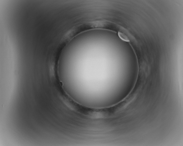 X0000115240209200911061154