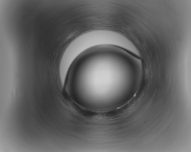 X0000115240211200911061154