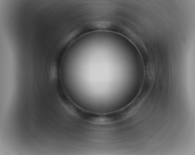 X0000115240212200911061154