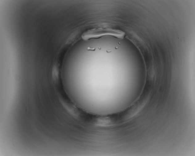 X0000115240214200911061154