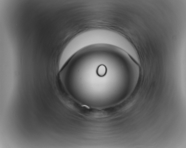 X0000115240215200911061154