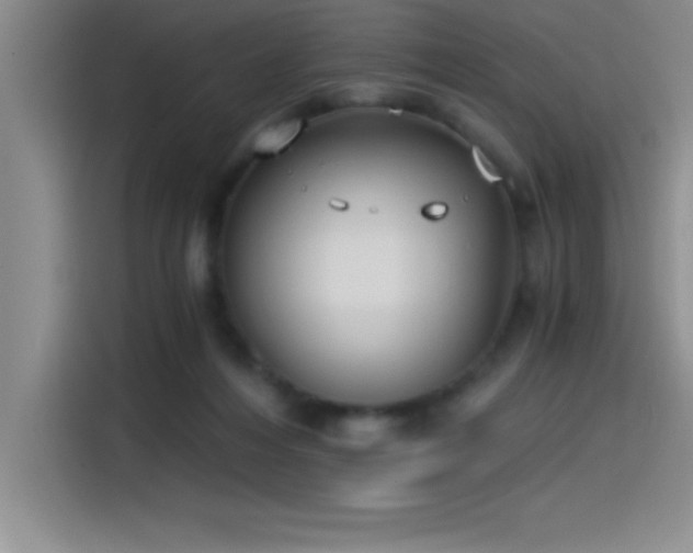X0000115240216200911061154