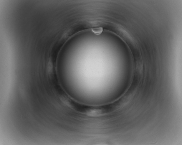 X0000115240220200911061154