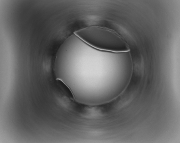 X0000115240221200911061154