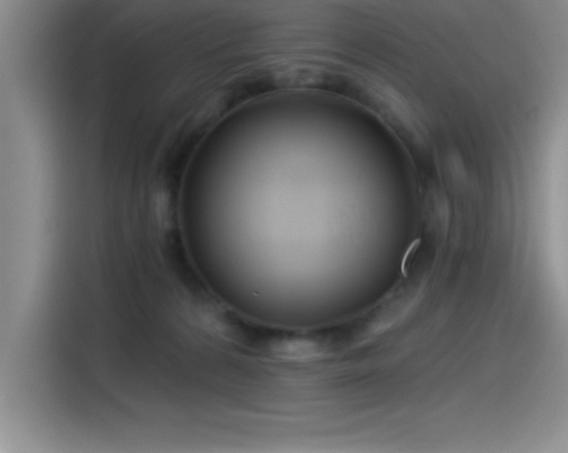 X0000115240224200911061154