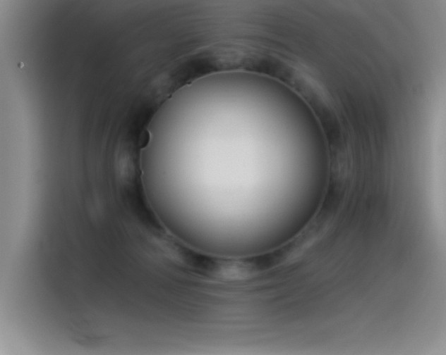 X0000115240226200911061154