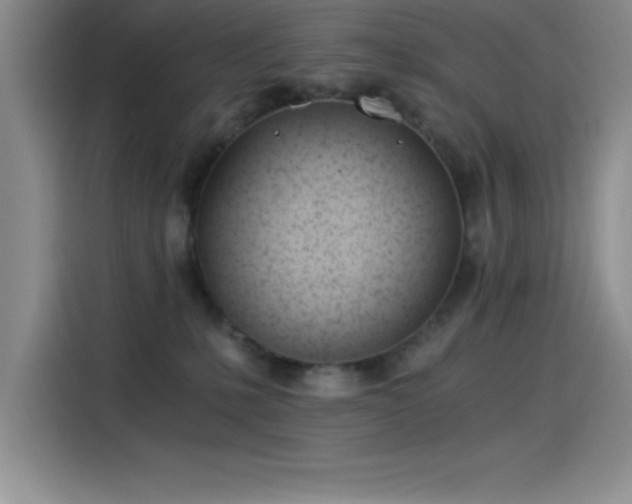 X0000115240231200911061154