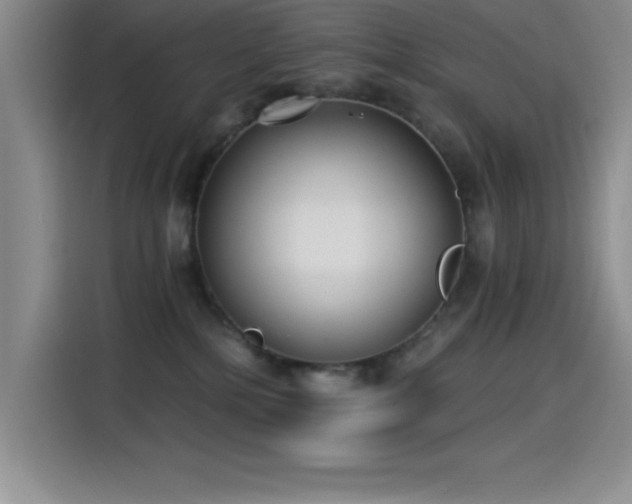X0000115240232200911061154